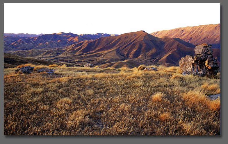 wanaka landscape photo tours